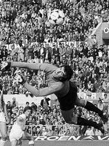 Dino Zoff