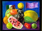 Frida Kahlo: Tihožitje (1951)