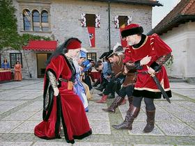 Grajska poroka