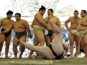 Sumo