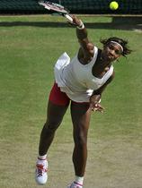 Tenis