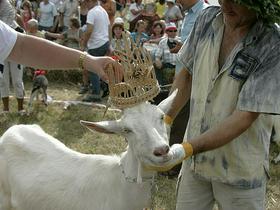 Kozja parada