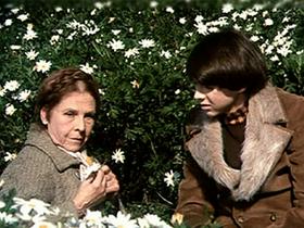Harold in Maude