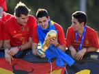 David Villa