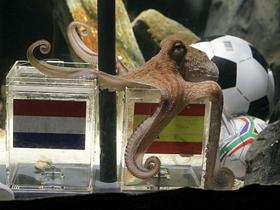 Paul