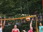 Švic 2010