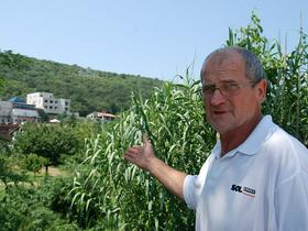 Joško Joras