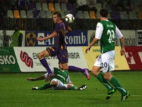 Maribor, Hibernian