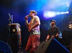 Schengenfest 2010