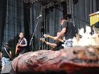 Schengenfest 2010