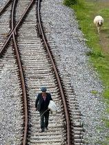 Srbske železnice