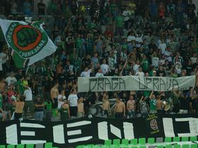 Green Dragons