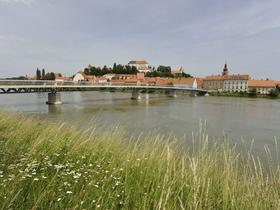 Ptuj