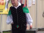 Panonika harmonika