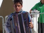 Panonika harmonika