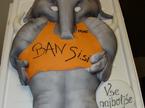 Bansi torta
