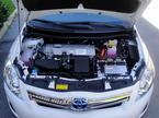 Toy Auris
