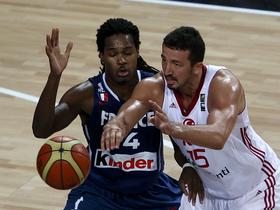 Hedo Turkoglu, Mickael Gelabale