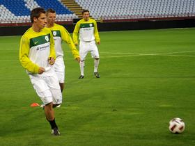 Valter Birsa
