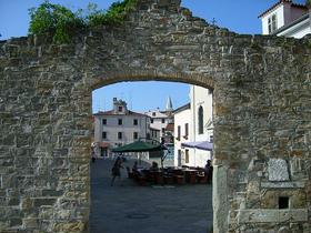 Koper