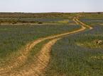Nacionalni park Namaqua