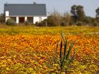 Nacionalni park Namaqua