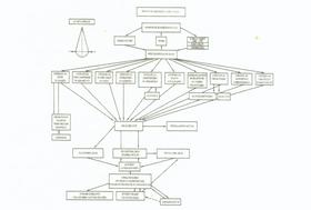 NSK - organigram