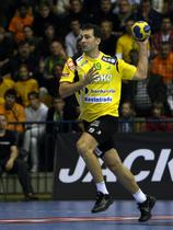 Petar Metličić
