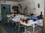 Bolnišnica Teme Hospital