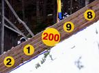 Planica