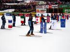 Planica