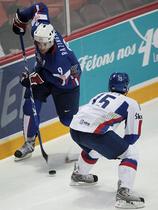 Tomaž Razingar in Dominik Granak (Halifax 2008: Slovenija - Slovaška 3:4*)