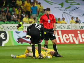 Damir Skomina