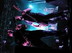 Guano Apes