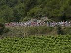 Languedoc