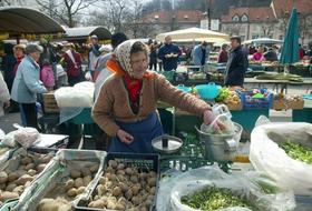 branjevka