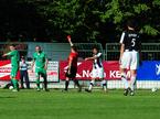 Mura - Olimpija,  Fazanerija