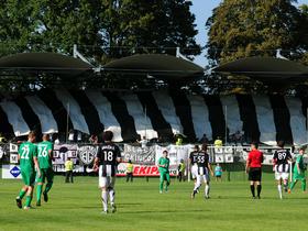 Mura - Olimpija,  Fazanerija
