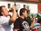 Stična 2011