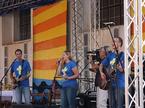 Stična 2011