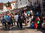 Stična 2011