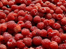 Maline
