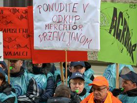 Protest Mercator