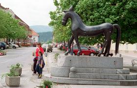 Slovenj Gradec