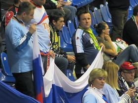 Slovenski navijači