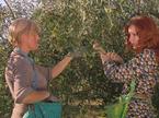 Oddaja Od njive do mize, Barbara Zrimšek in Mojca Mavec