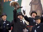 Punxsutawney Phil