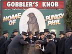 Punxsutawney Phil
