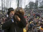 Punxsutawney Phil