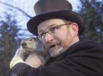 Punxsutawney Phil